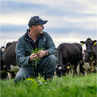 專注於草飼放牧